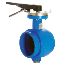 Mueller  Butterfly Valves