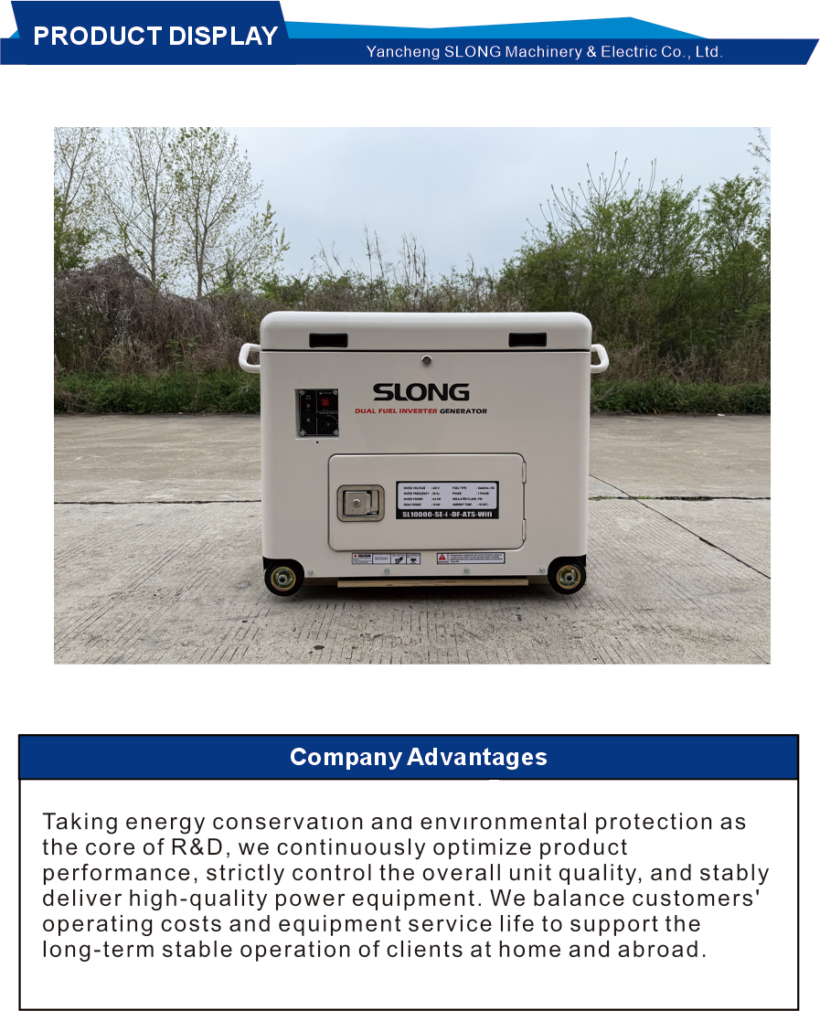ژنراتور دوگانه سوخت اینورتر موج سینوسی خالص Pure Sine Wave Inverter Dual Fuel Generator