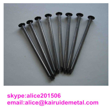 Polished Common Nail Iron Nail Wire Nail