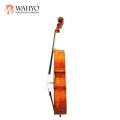 Hot selling Cheap Price Handmade Student Cello