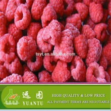 Frozen Whole Raspberry Natural Red and Good Taste
