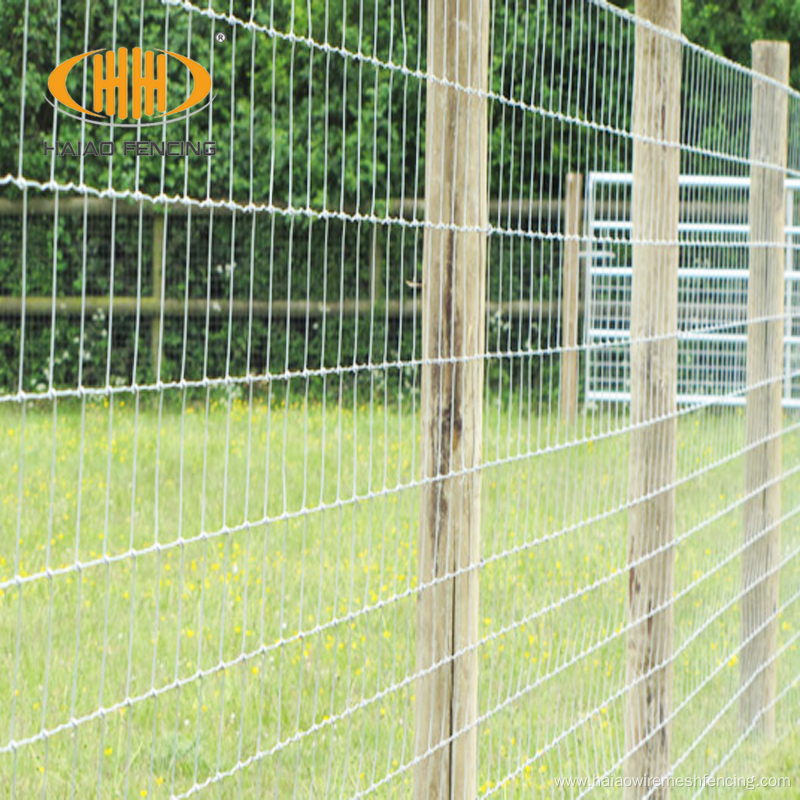 Galvanized steel field goat fence with t post