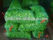 Orange plastic pp leno mesh bag