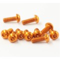 M3 Custom Aluminum Truss Head Machine Screw