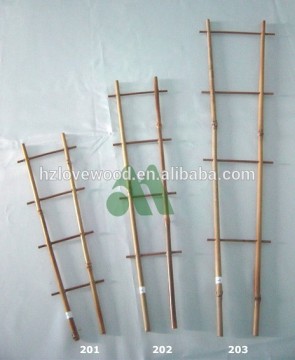 Plant Trellis, Plant Ladders