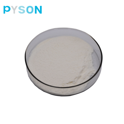 Pyson Supply Bacillus Subtilis Powder 300 พันล้าน CFU/G