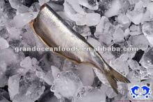 seafood IQF frozen herring fillet
