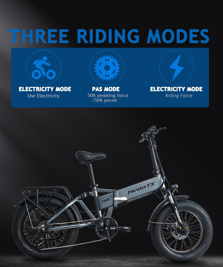 Convenient Fat Tire Electric Bike