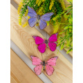 Butterfly craft design