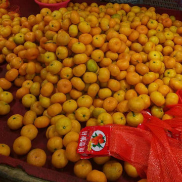 Nanfeng Baby Mandarin Fruits