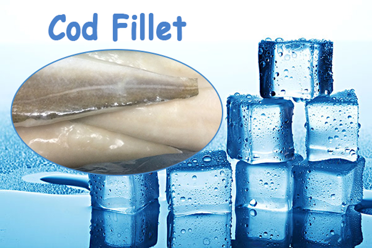 light salted cod fillet fish top grade,light salted cod fillet new season,light salted cod fillet fish top grade detail