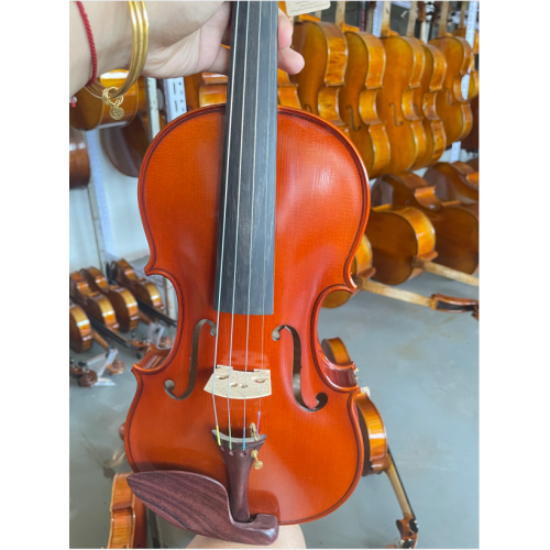 Profissional de Eup de alta qualidade 4/4 violino antigo