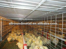 Hot galvanized baby chick cage  