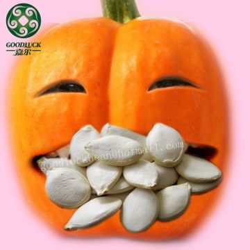 Sell Chinese Pumpkin Seeds Price