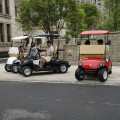 2-persoons golfbuggy met lithiumbatterij