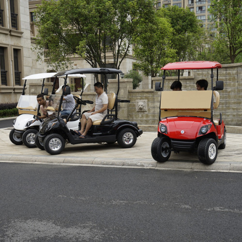 2 seater  lithium battery golf buggy