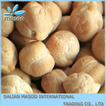 High Quality and Best Selling Chickpeas