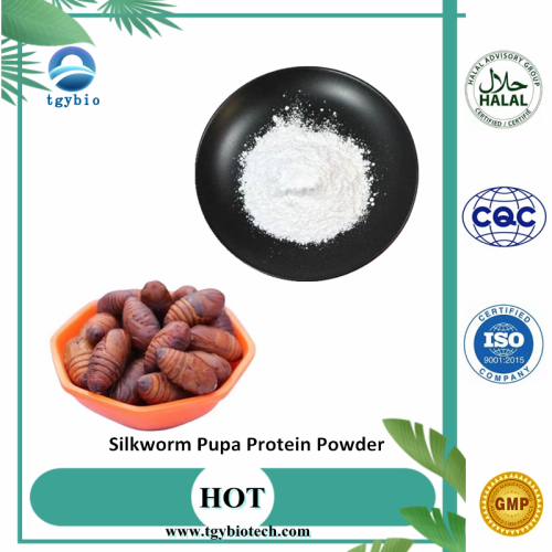 Supply High Purity Silkworm Pupa Protein Powder