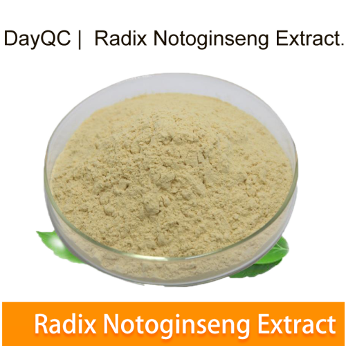 radix notoginseng 추출물 notoginseng triterpenes 5%~ 80%