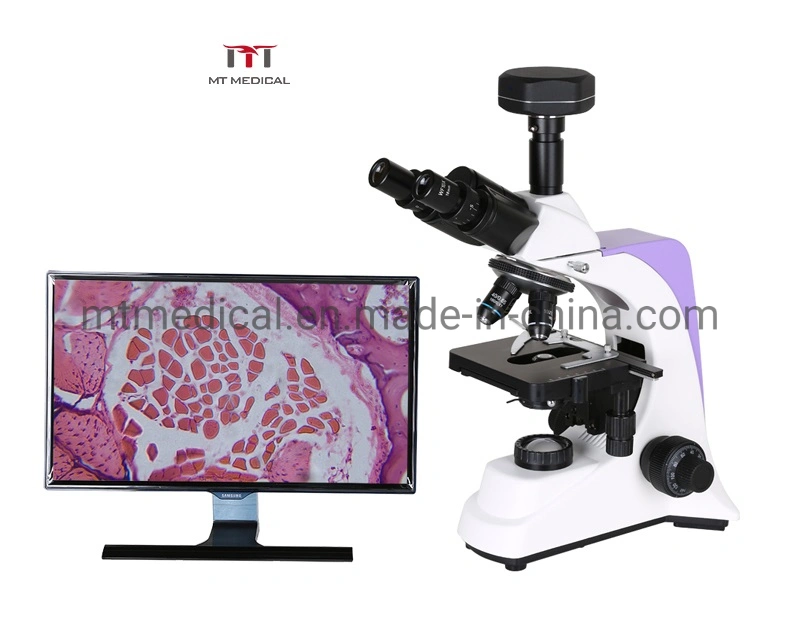 Medical Instrument All Kinds of Electron Binocular/Trinocular Metallurgical Microscopes Price