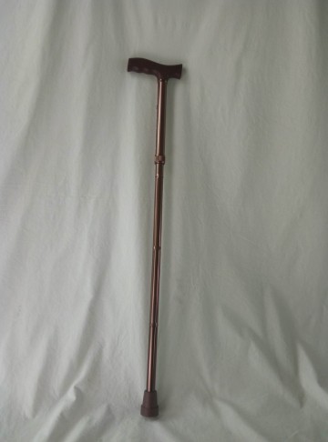 Folding walking stick with cheap price nordic walking stick