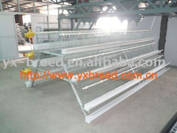 with automatic drink&feed system chicken cages