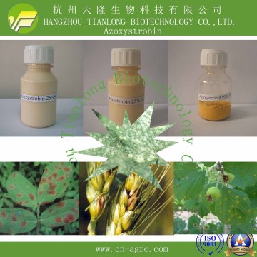 Price Preferential Fungicide Azoxystrobin (95%TC, 25%SC, 25%WDG, 50%WDG, 75%WDG, 80%WDG)