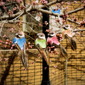 Décoration de table cage à oiseaux