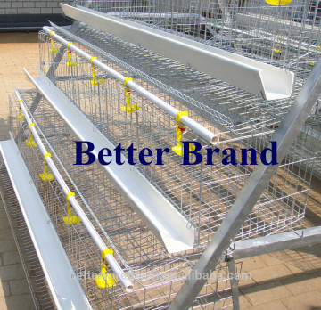 BT Factory new design chicken cages For Uganda Layer Chicken Farm