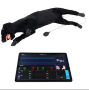 Dog cardiopulmonary resuscitation model (tablet version)
