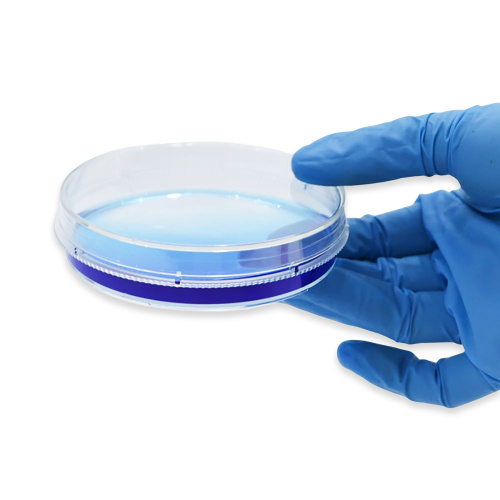 Diferentes tamanhos de plástico Petri Withes para bactérias em crescimento