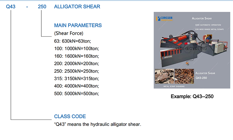 Q43 Alligator Shear Model Description 2