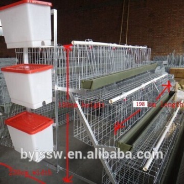 Cages for Layer Chickens