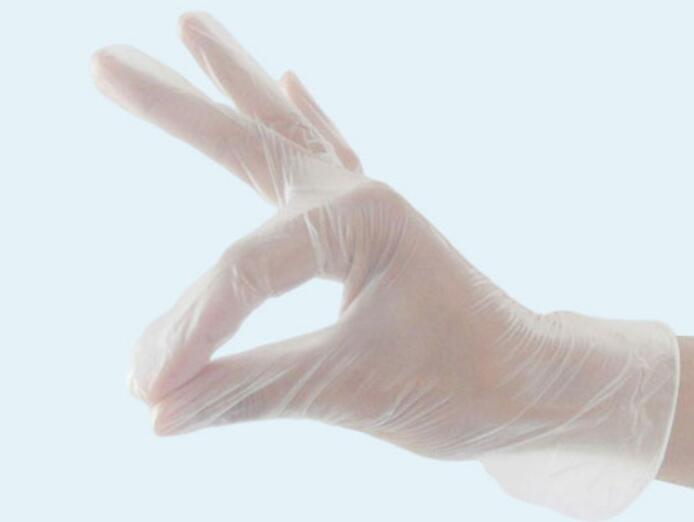 Powder Free Vinyl disposable gloves / glove