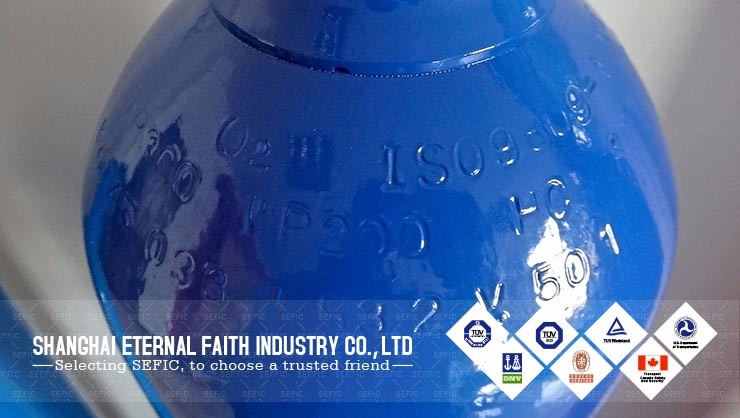 World Famous 2L-80L Seamless Steel Oxygen/Nitrogen/Argon/CO2 Industrial Gas Cylinder