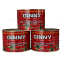 70g-4500g 28-30% brix canned tomato paste for Togo