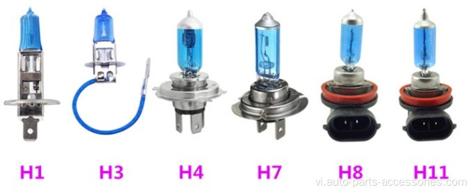 Super White H4 H7 H3 Bóng đèn halogen DC12V