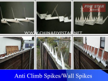 Alibaba China wall spike/security wall spikes/metal studs metal spikes