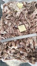 Frozen Squid Tentacle Illex Argentinus 60-80g