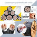 สายไฟเหนือศีรษะ PVC PE หุ้มฉนวน AAC ACSR AL.ALLOY CABLES สายเคเบิลสายไฟแรงดันไฟฟ้าสายไฟ