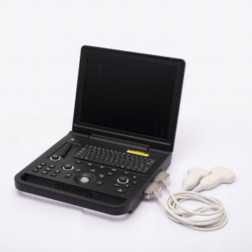 Female fatty liver ultrasound diagnostic instrument