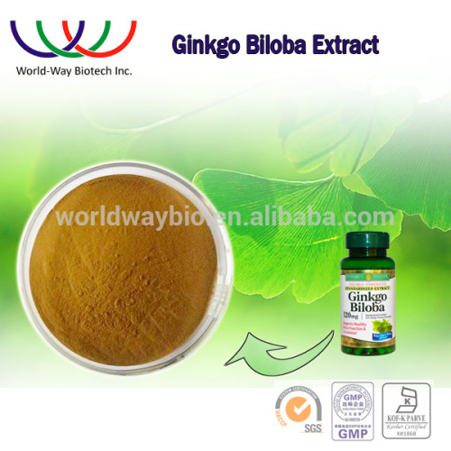 Ginkgo Biloba Extract, Ginkgo Biloba Leaf Extract, Natural ginkgo biloba extract powder