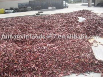 red dried chilli