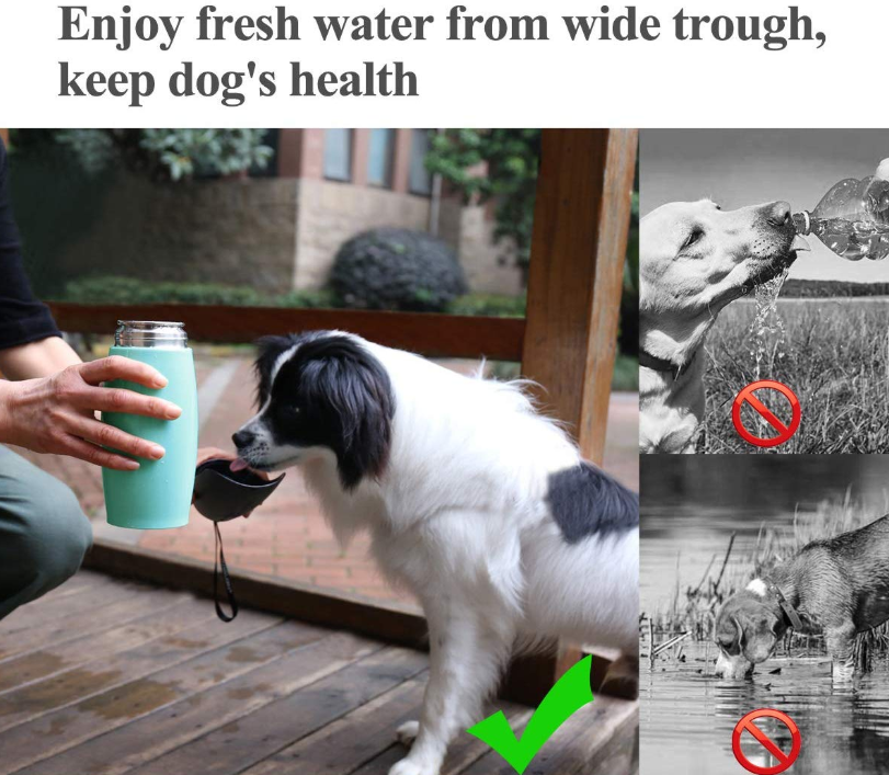 زجاجة ماء الكلب الفولاذ المقاوم للصدأ