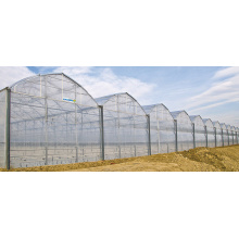 Greenhouse de filme plástico multi-span serrilhado para vegetais