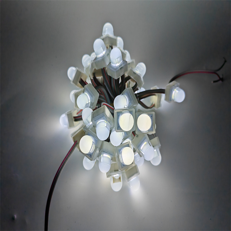 24V DC RGBW 12MM LED Pixel Point Light 0.3W IP67 Christmas Holiday Decoration Durable Outdoor LED Lighting