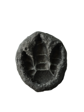 Dinosaur Claw Shaped Reptile Feeding Bowl