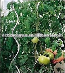 tomato plant spiral support stakes