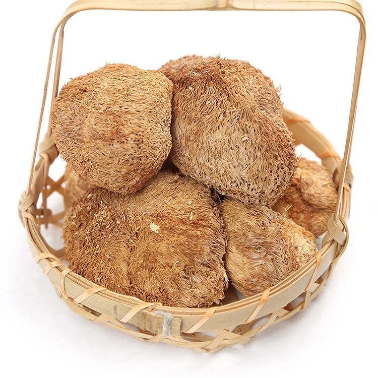 Hericium Erinaceus Extract Hericium Erinaceus Extract