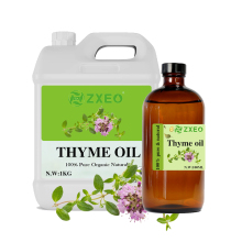 Wholesale 100% Pure Extract Steam Distillation Aromatherapy Thyme Oil